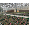 野外大田植物表型平台
