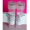 生物素纯化富集免疫亲和填料Biotin Antibody Agarose 