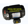 供应C01-63B0 1HP-6P 0.75KW台湾群策电机