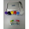 犬胰岛素（INS）酶联免疫试剂盒（ELISA试剂盒）