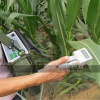 植物光合作用测定仪对植物生长的意义