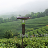 利用茶园杀虫灯打造生态茶园