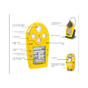 加拿大BW M5五合一气体检测仪