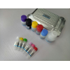 110004人白细胞介素6（IL-6）定量检测试剂盒（ELISA）