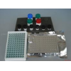 小鼠嗜环蛋白/亲环素A(CyPA)ELISA试剂盒