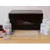 小鼠E选择素(E-Selectin/CD62E)ELISA试剂盒 