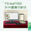 叶片图像分析仪，叶片图像扫描系统