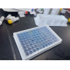 鸭簇集蛋白(clu)ELISA试剂盒