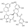 98%茶黄素-3-没食子酸酯（TF-3-G）--广州牌牌生物科技有限公司