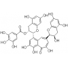 98% 茶黄素-3'-没食子酸酯（TF-3'-G）---广州牌牌生物科技有限公司