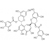 茶黄素-3,3'-双没食子酸酯（TFBG）