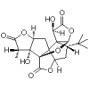 银杏内酯A