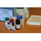 蛋白激酶A活性检测ELISA试剂盒
