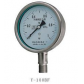 不锈钢压力表,YTBF-100H,不锈钢耐震压力表