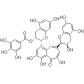 98% 茶黄素-3'-没食子酸酯（TF-3'-G）---广州牌牌生物科技有限公司