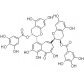 茶黄素-3,3'-双没食子酸酯（TFBG）
