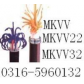 电话电缆->HYV22、HJVV、HJVVP